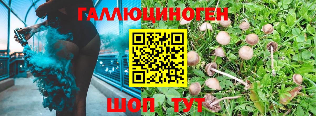 Галлюциногенные грибы ЛСД Ирбит